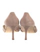 Manolo Blahnik Suede D'Orsay Pumps