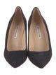 Manolo Blahnik Suede Pumps