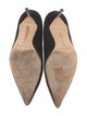 Manolo Blahnik Suede Pumps