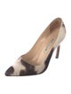 Manolo Blahnik Printed Pumps