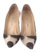 Manolo Blahnik Printed Pumps