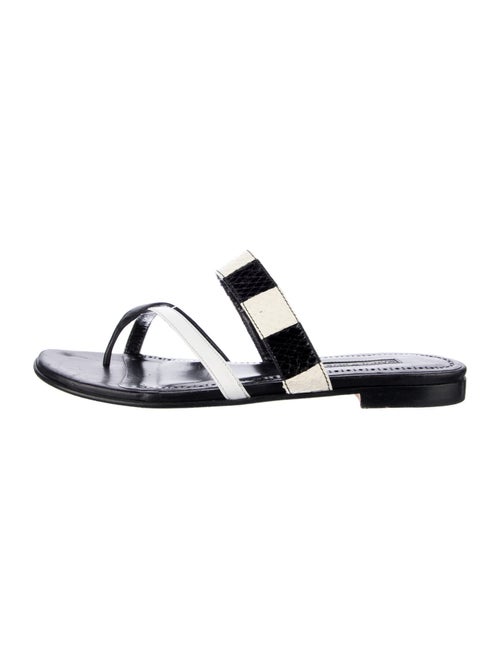 Manolo Blahnik Leather Printed Slides