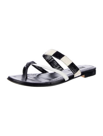Manolo Blahnik Leather Printed Slides