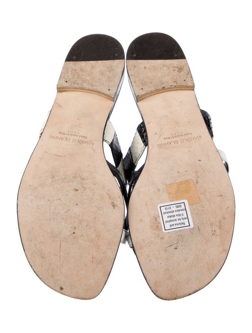 Manolo Blahnik Leather Printed Slides