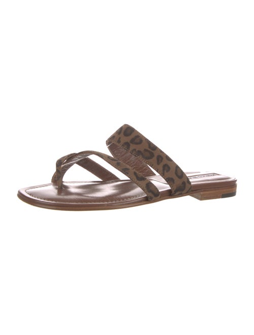 Manolo Blahnik Suede Animal Print Slides