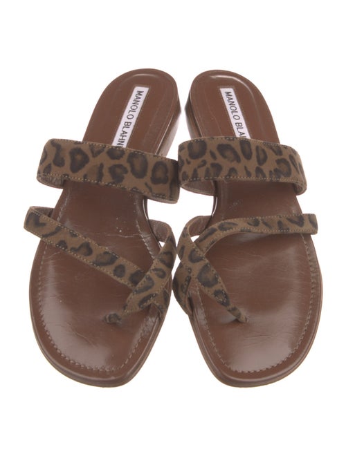 Manolo Blahnik Suede Animal Print Slides