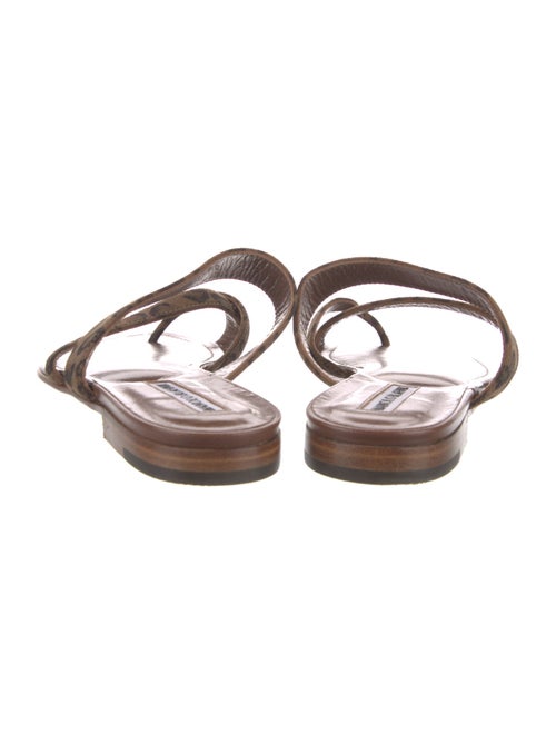 Manolo Blahnik Suede Animal Print Slides