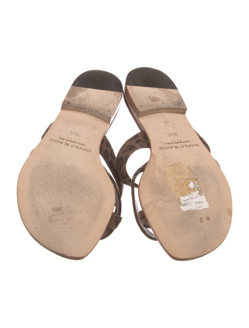 Manolo Blahnik Suede Animal Print Slides