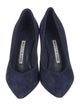 Manolo Blahnik Suede Pumps