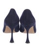 Manolo Blahnik Suede Pumps
