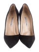 Manolo Blahnik Suede Pumps
