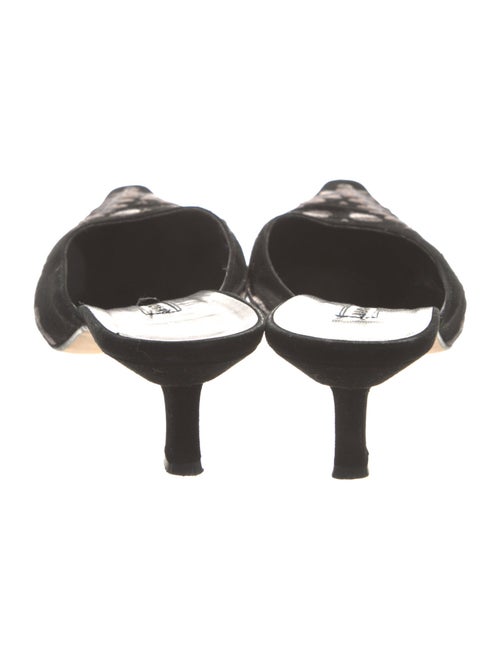 Manolo Blahnik Suede Graphic Print Mules