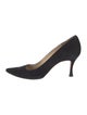 Manolo Blahnik Suede Pumps