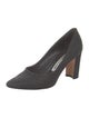 Manolo Blahnik Pumps