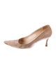 Manolo Blahnik Suede Pumps