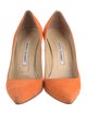 Manolo Blahnik Suede Pumps