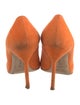 Manolo Blahnik Suede Pumps