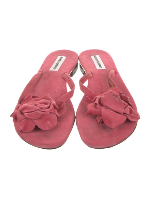 Manolo Blahnik Suede Slides