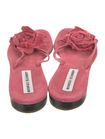 Manolo Blahnik Suede Slides