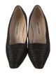 Manolo Blahnik Suede Pumps