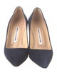 Manolo Blahnik Suede Pumps