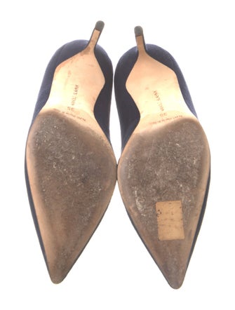 Manolo Blahnik Suede Pumps