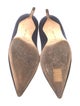 Manolo Blahnik Suede Pumps