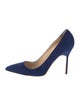 Manolo Blahnik Suede Pumps