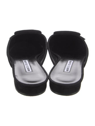 Manolo Blahnik Suede Mules