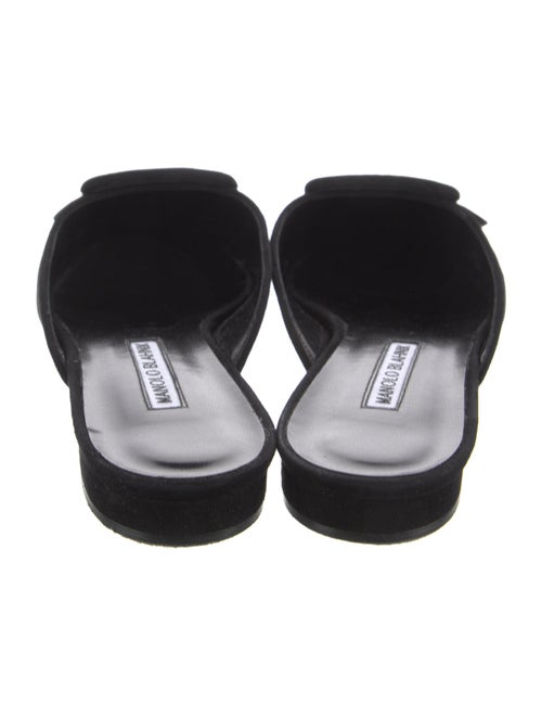 Manolo Blahnik Suede Mules