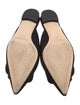 Manolo Blahnik Suede Mules
