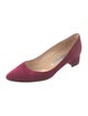 Manolo Blahnik Suede Pumps