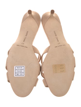 Manolo Blahnik Suede Slides