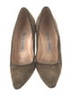 Manolo Blahnik Suede Pumps