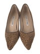 Manolo Blahnik Ponyhair Animal Print Pumps