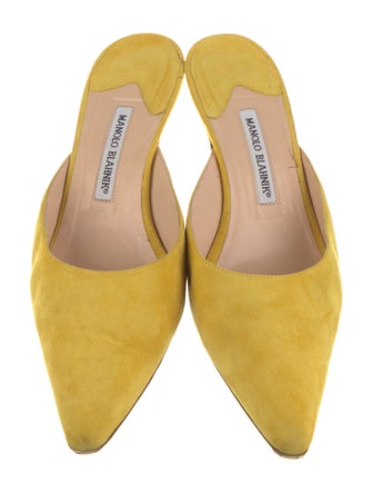 Manolo Blahnik Suede Mules
