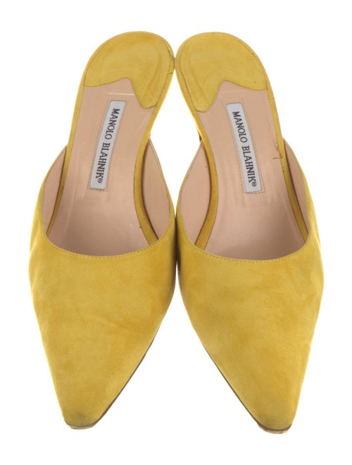 Manolo Blahnik Suede Mules