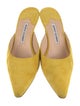 Manolo Blahnik Suede Mules