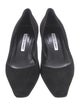 Manolo Blahnik Suede Pumps