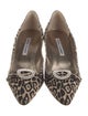 Manolo Blahnik Canvas Animal Print Pumps