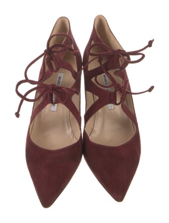 Manolo Blahnik Suede Pumps