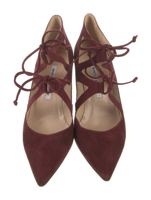 Manolo Blahnik Suede Pumps