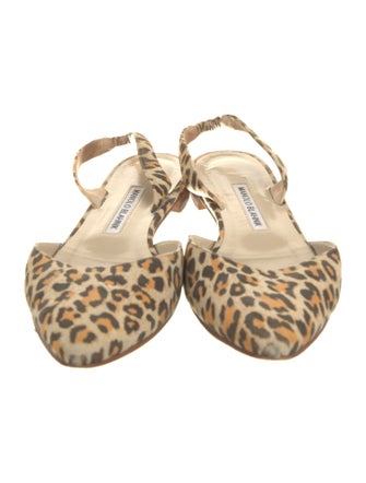 Manolo Blahnik Suede Animal Print Slingback Flats