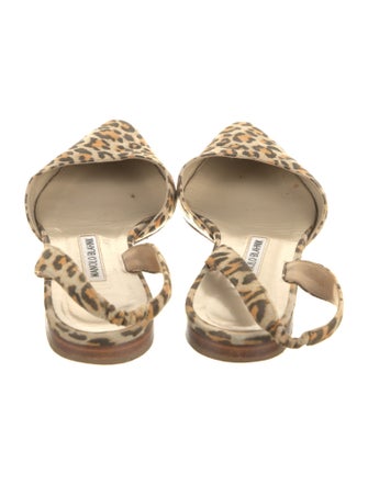 Manolo Blahnik Suede Animal Print Slingback Flats