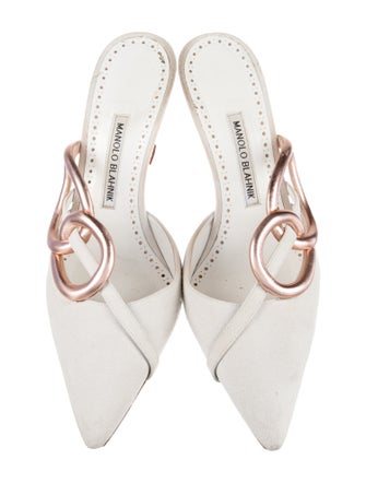Manolo Blahnik Suede Mules