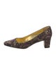 Manolo Blahnik Floral Print Pumps
