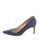 Manolo Blahnik Suede Pumps