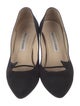 Manolo Blahnik Suede Pumps
