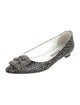 Manolo Blahnik Leather Printed Ballet Flats