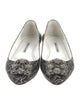 Manolo Blahnik Leather Printed Ballet Flats